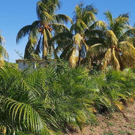 Gite Kakoio Maison Ko Saint-Francois  Exteriör bild