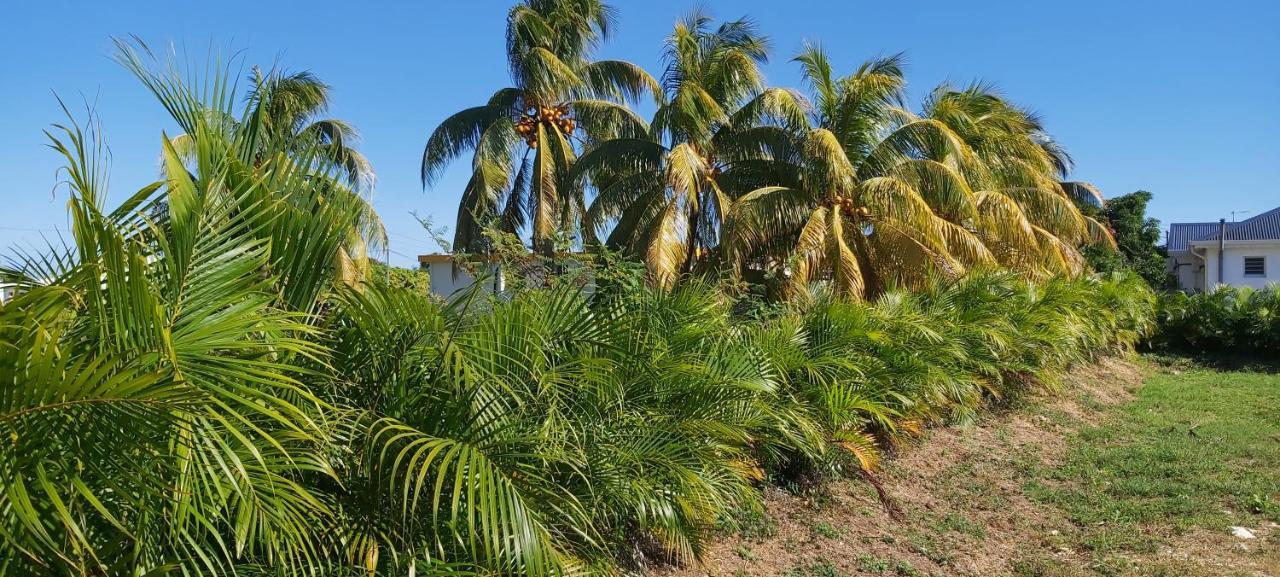 Gite Kakoio Maison Ko Saint-Francois  Exteriör bild